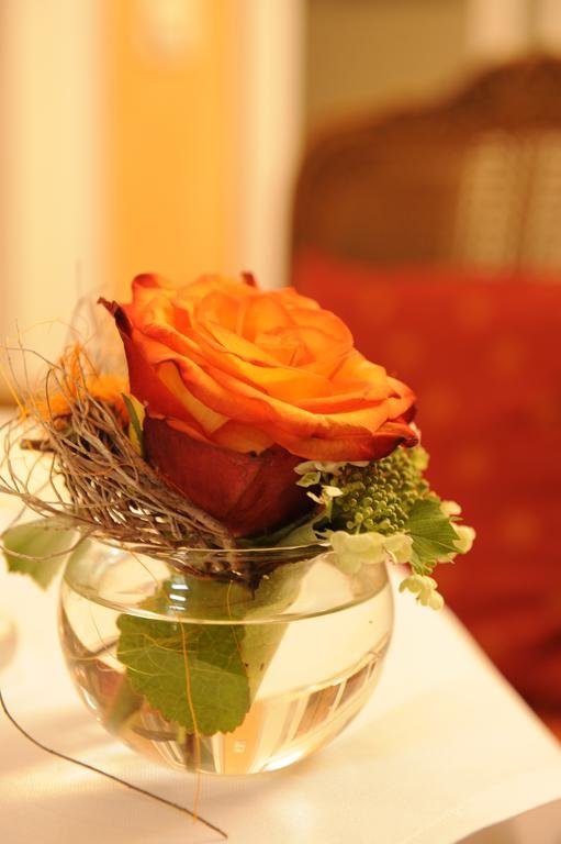 Hotel Boutique Splendid 3*